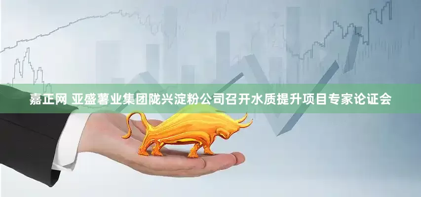 嘉正网 亚盛薯业集团陇兴淀粉公司召开水质提升项目专家论证会