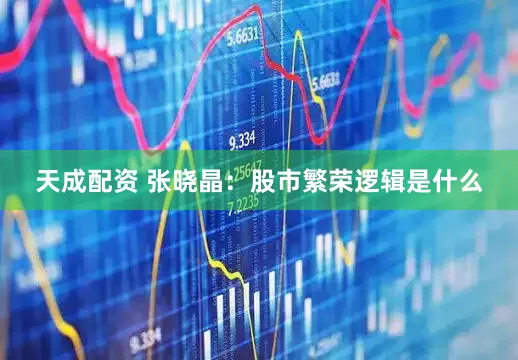 天成配资 张晓晶：股市繁荣逻辑是什么