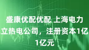 盛康优配优配 上海电力成立热电公司，注册资本1亿元